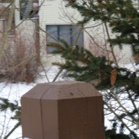 Lakepoint Court Фриско Екстериор снимка